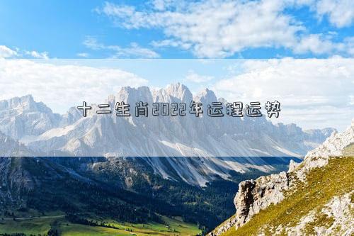 十二生肖2022年生肖运势 十二生肖2022年运势运程插图