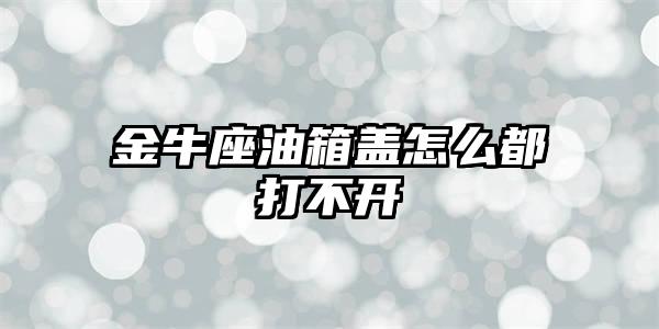 金牛座油箱盖怎么也无法打开