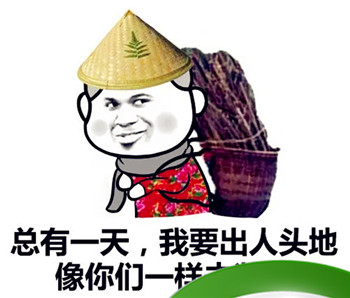 一出头地定当强是什么生肖，最佳答案